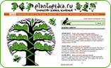 about_planta