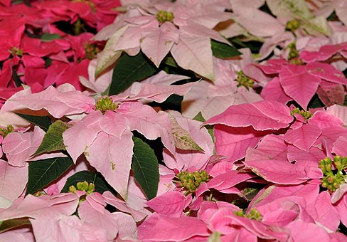 POU020910_771